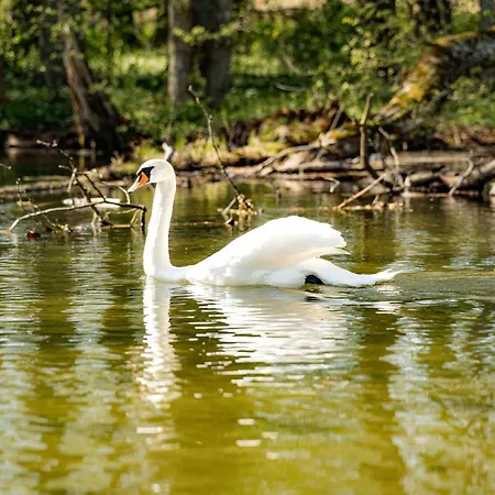 Frühstückspension Karczma Zacisze Krutyń