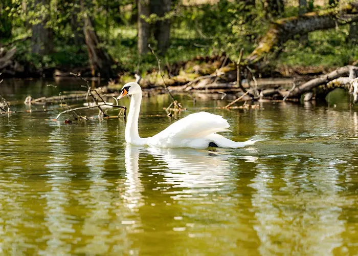Bed & Breakfast Karczma Zacisze Krutyn